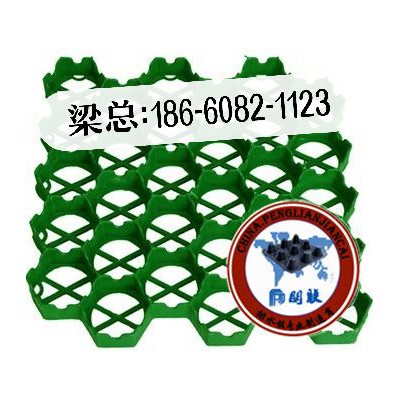 秦皇岛植草格厂家直接发货