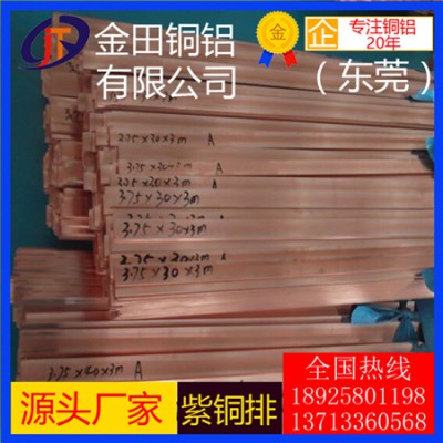 高品质t5紫铜排-t3耐高温紫铜排，t6大规格紫铜排