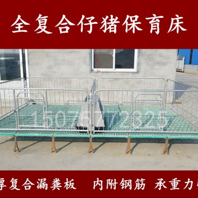 仔猪保育床 小猪仔双体保育床生产出售