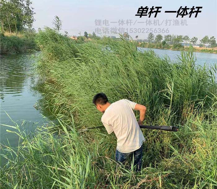 广西一杆清批发,充电式一体竿打渔,柳州一体竿批发