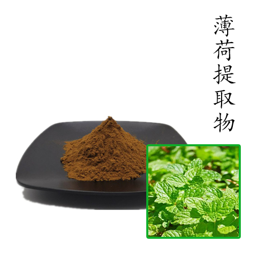 薄荷提取物10:1 散装浓缩粉