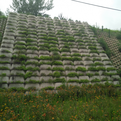 水泥植草护坡价格是多少-水利植草式护坡模具