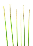 海波管超声刀专用涂层Guide wire