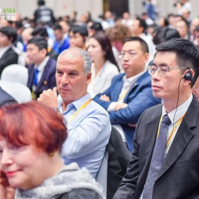 英语翻译外派