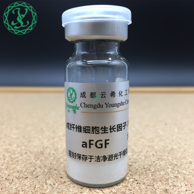 重组人酸性成纤维细胞生长因子（rh-aFGF）