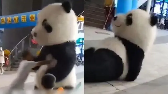 江苏一男子推熊猫公仔推倒熊猫玩偶，被人围观