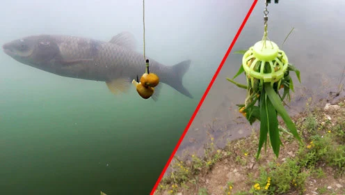 6米3手竿在水库钓10斤左右的草鱼，什么线组合适？