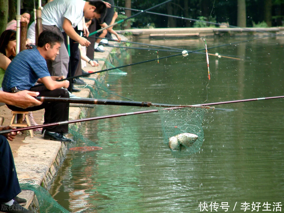 垂钓技巧中的“鱼粮”，喜欢的点赞和分享呦！